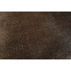 Essence 17 - Coffee Bean