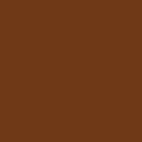 Prosper 69 - Vintage Copper